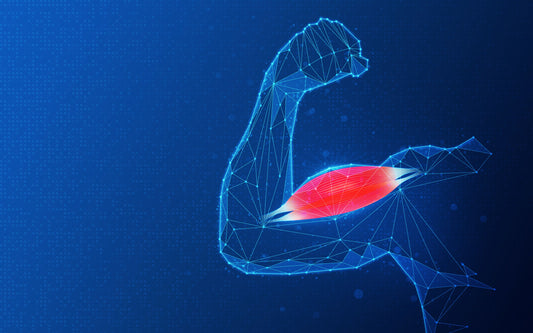 Faster muscle regeneration with Frequency Therapy | QuantumRife