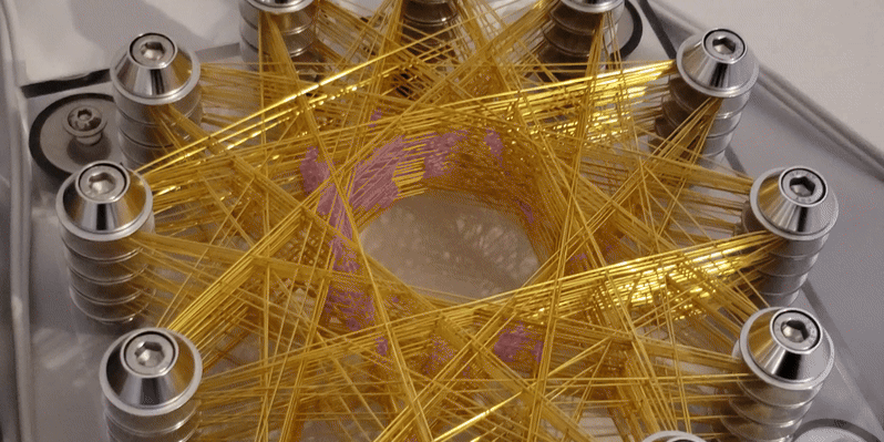 AURA Scalar Rife Machine