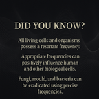 AURA Scalar