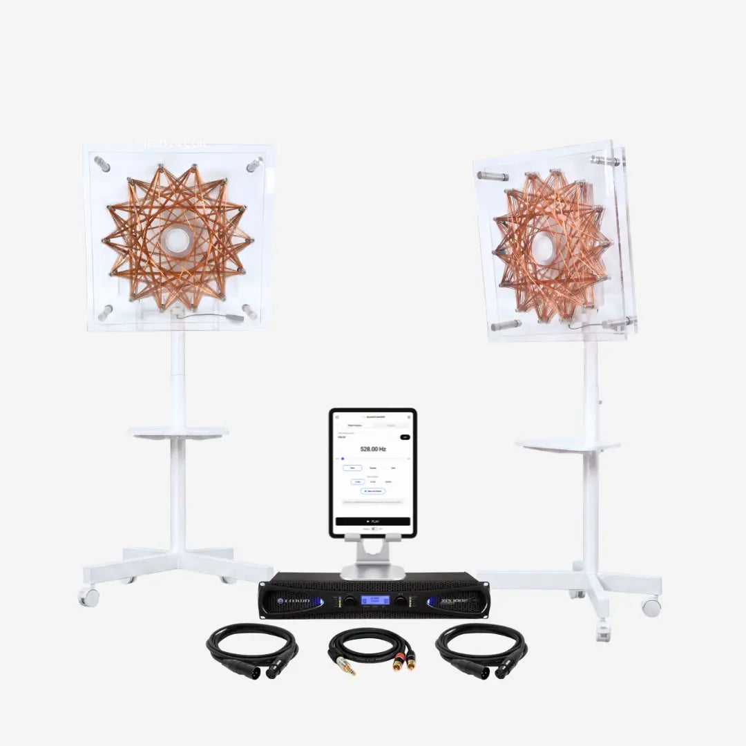 QuantumRife Field System