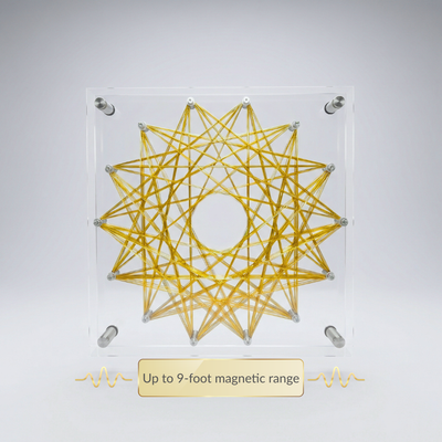 PRO Rife Frequency System – Professional 24 Inch Full Room System