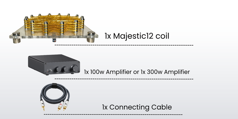 Majestic 12 Rife Machine